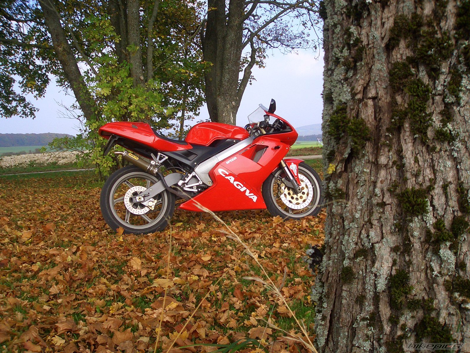 Bike Photo 1583541