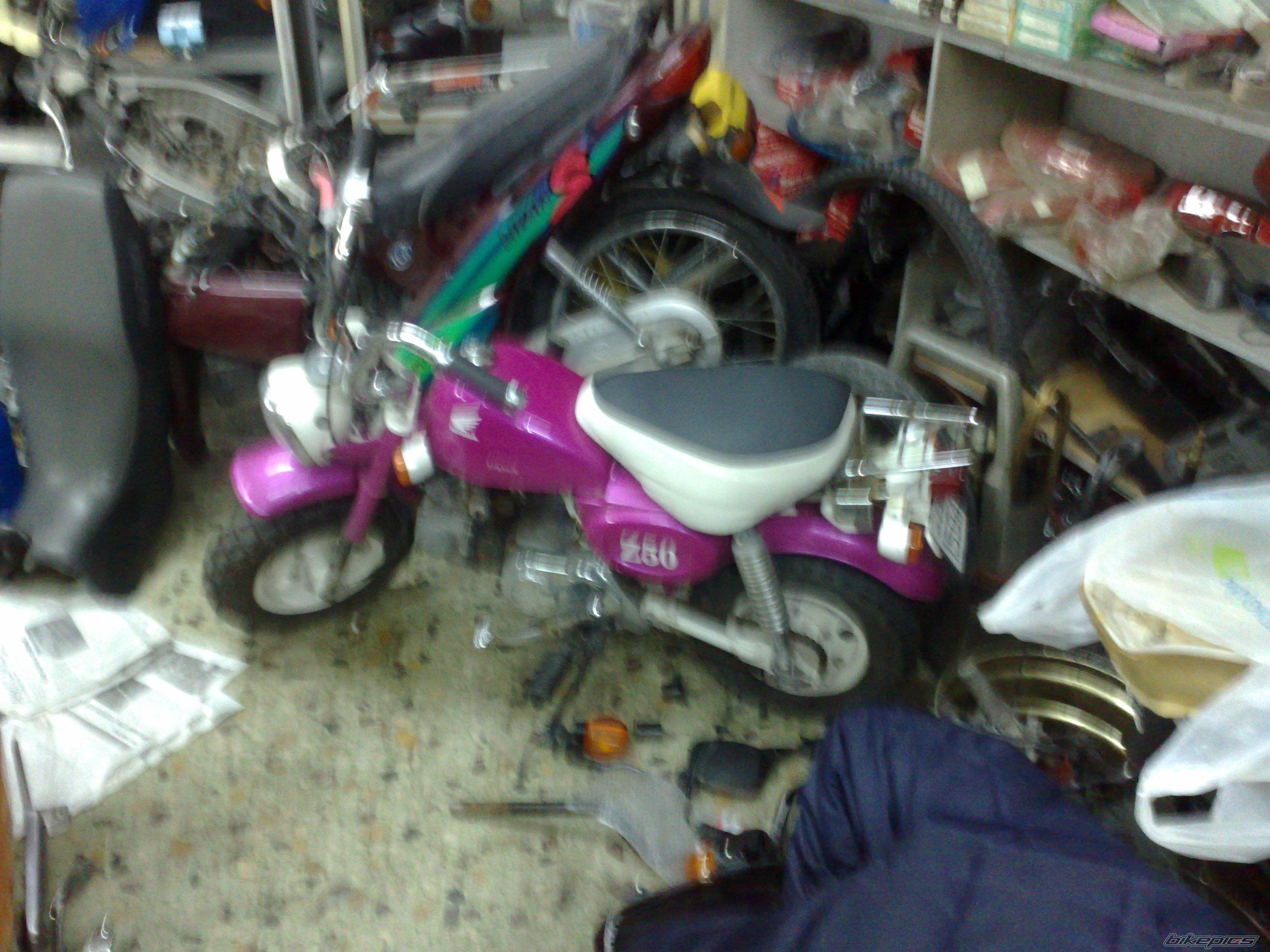 Photo 1583547