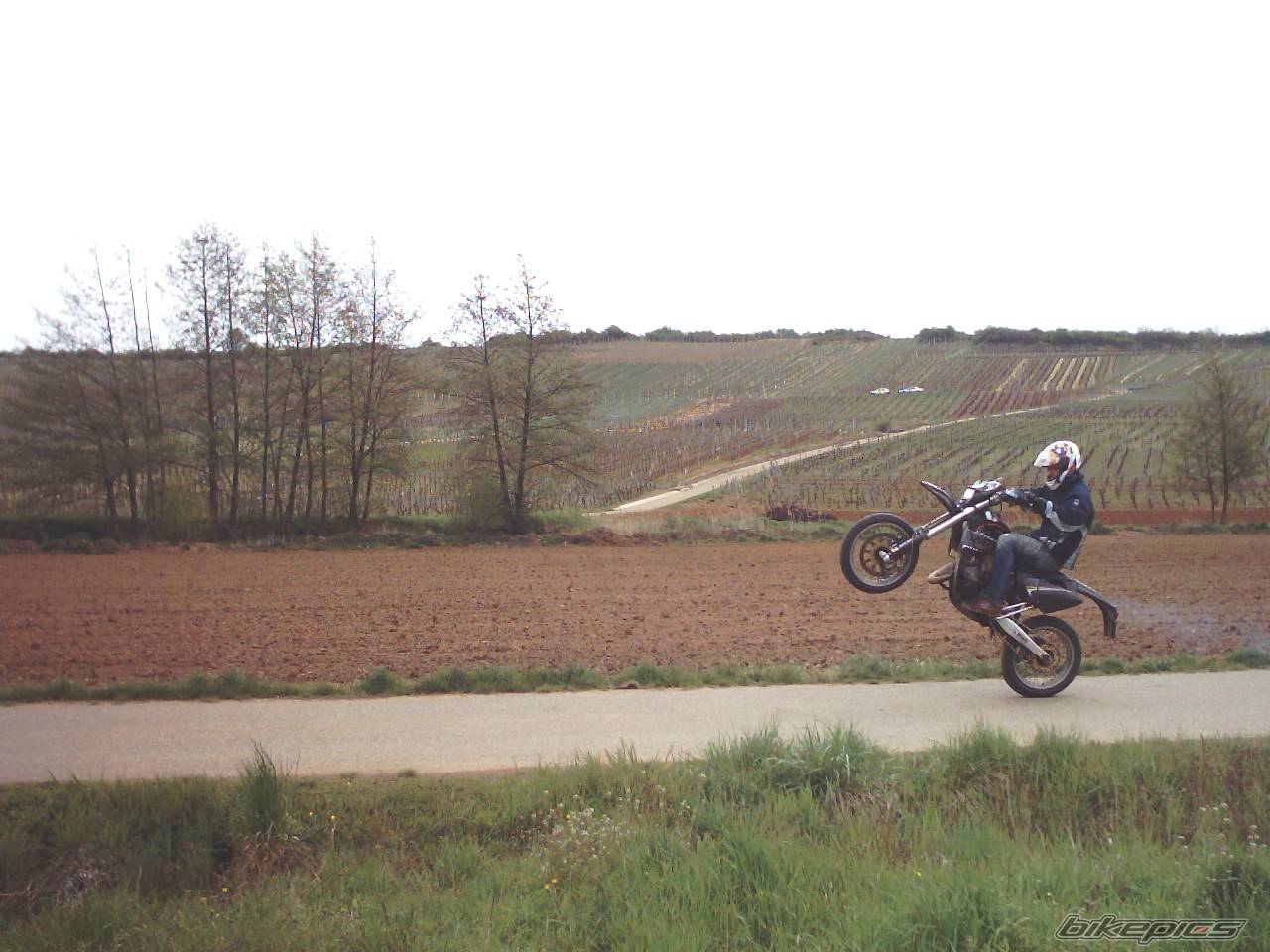 Photo 158355