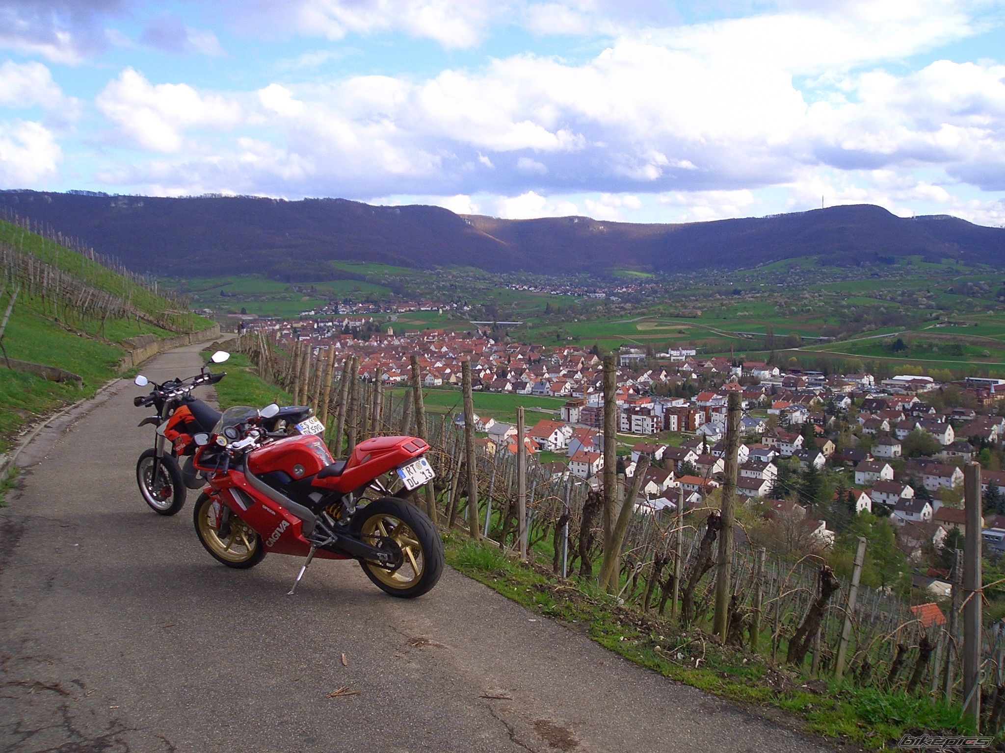 Photo 1583569