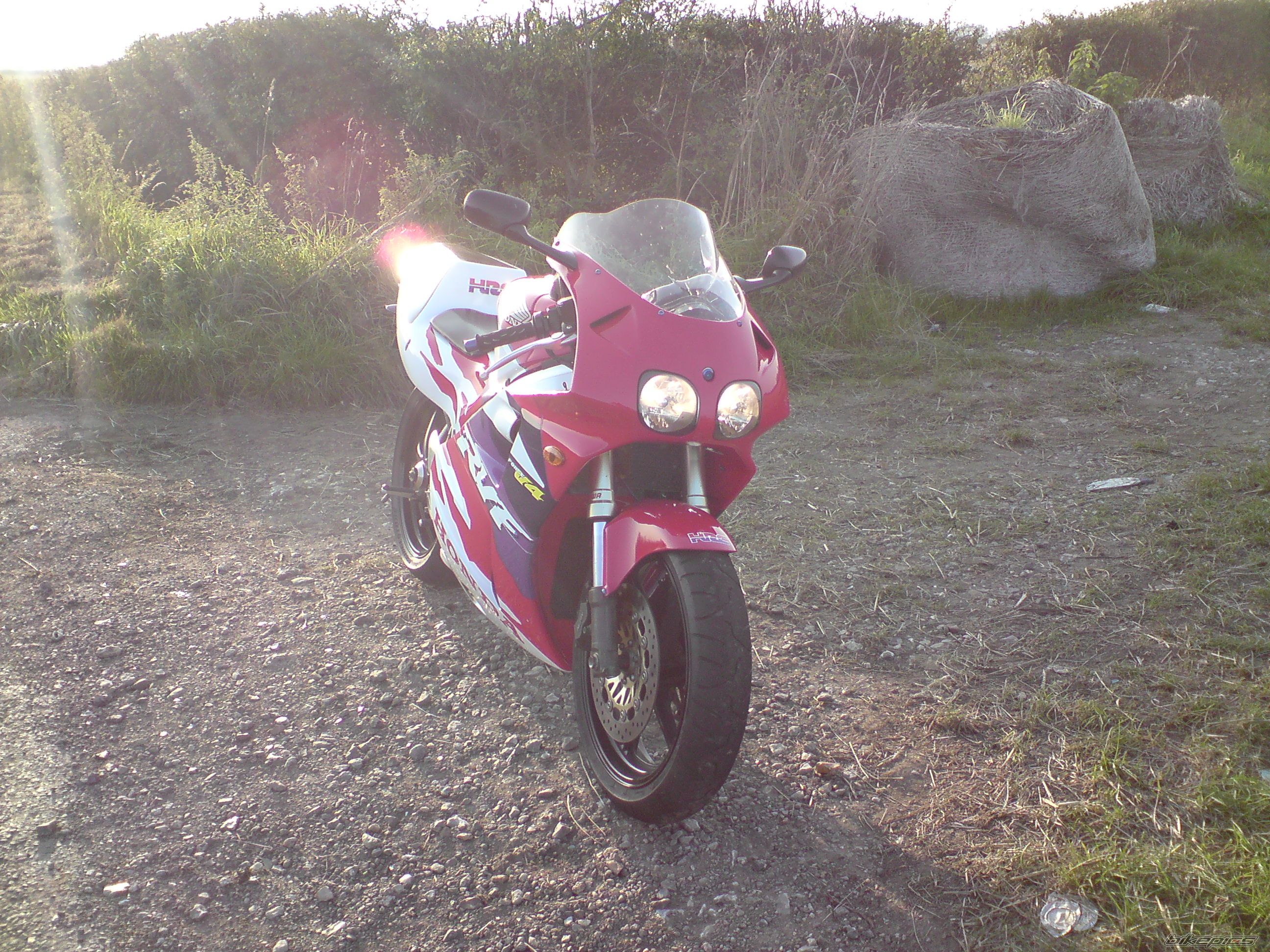 Photo 1583635
