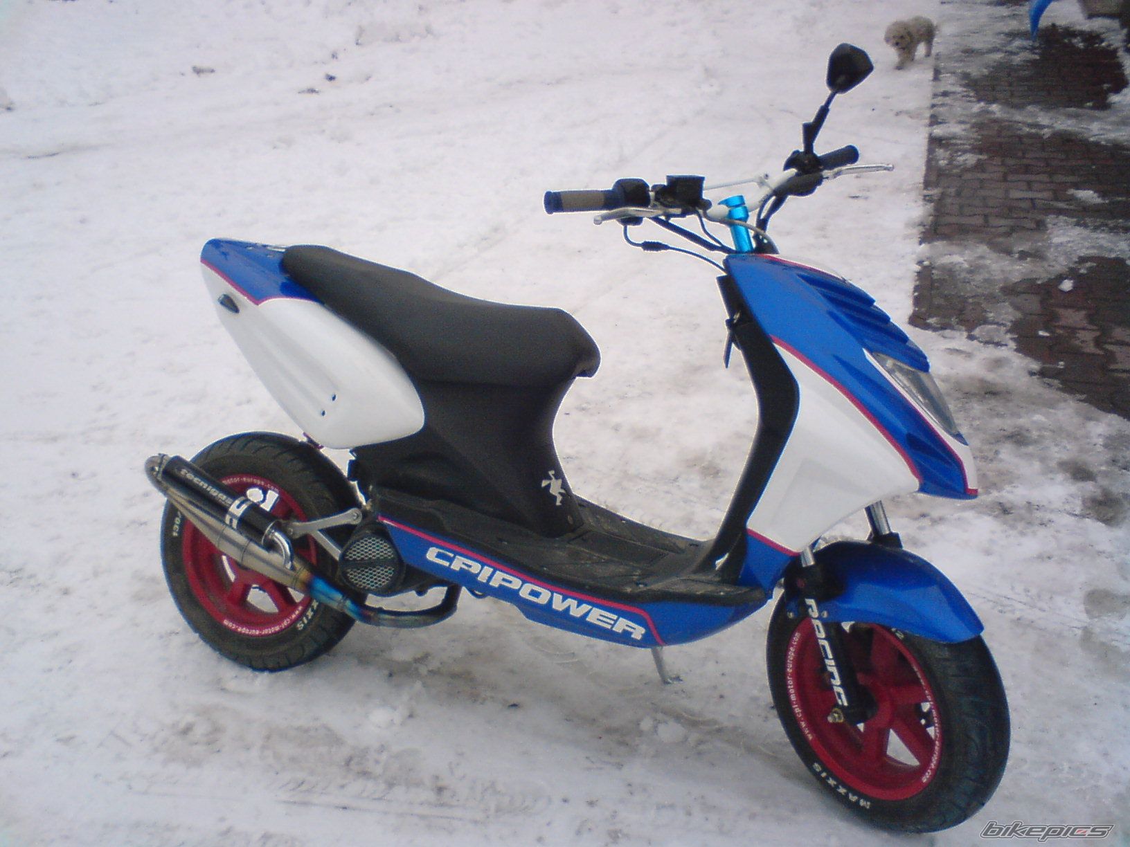 Photo 1583686