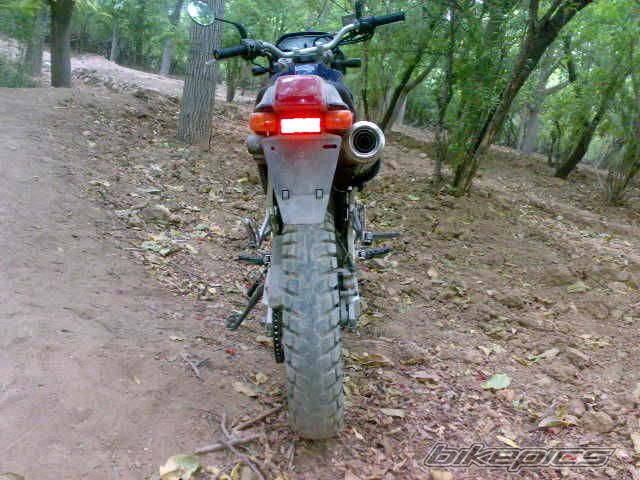 Photo 1583727
