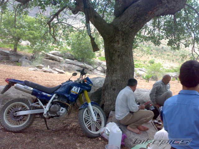 Photo 1583750