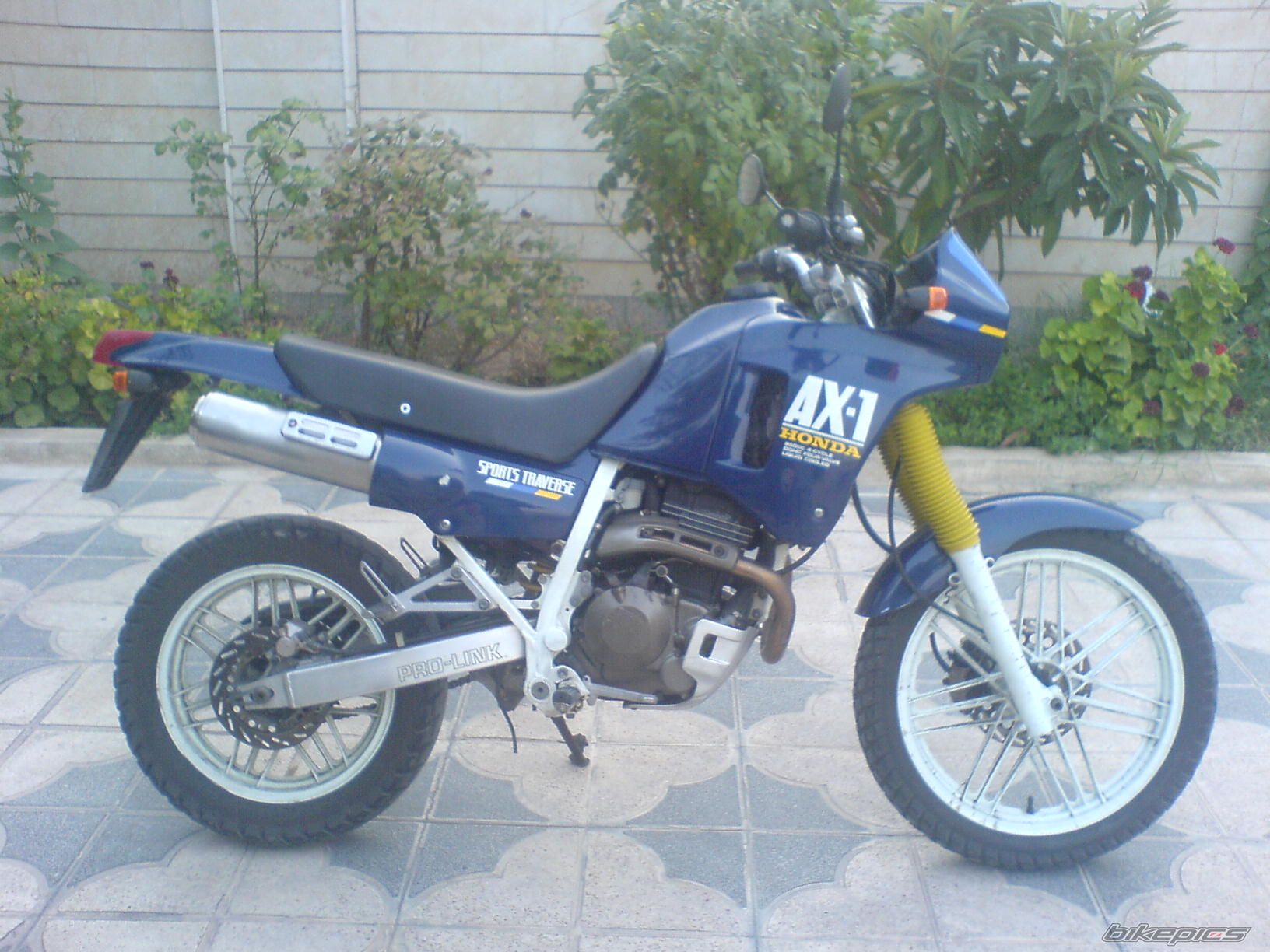 Photo 1583753