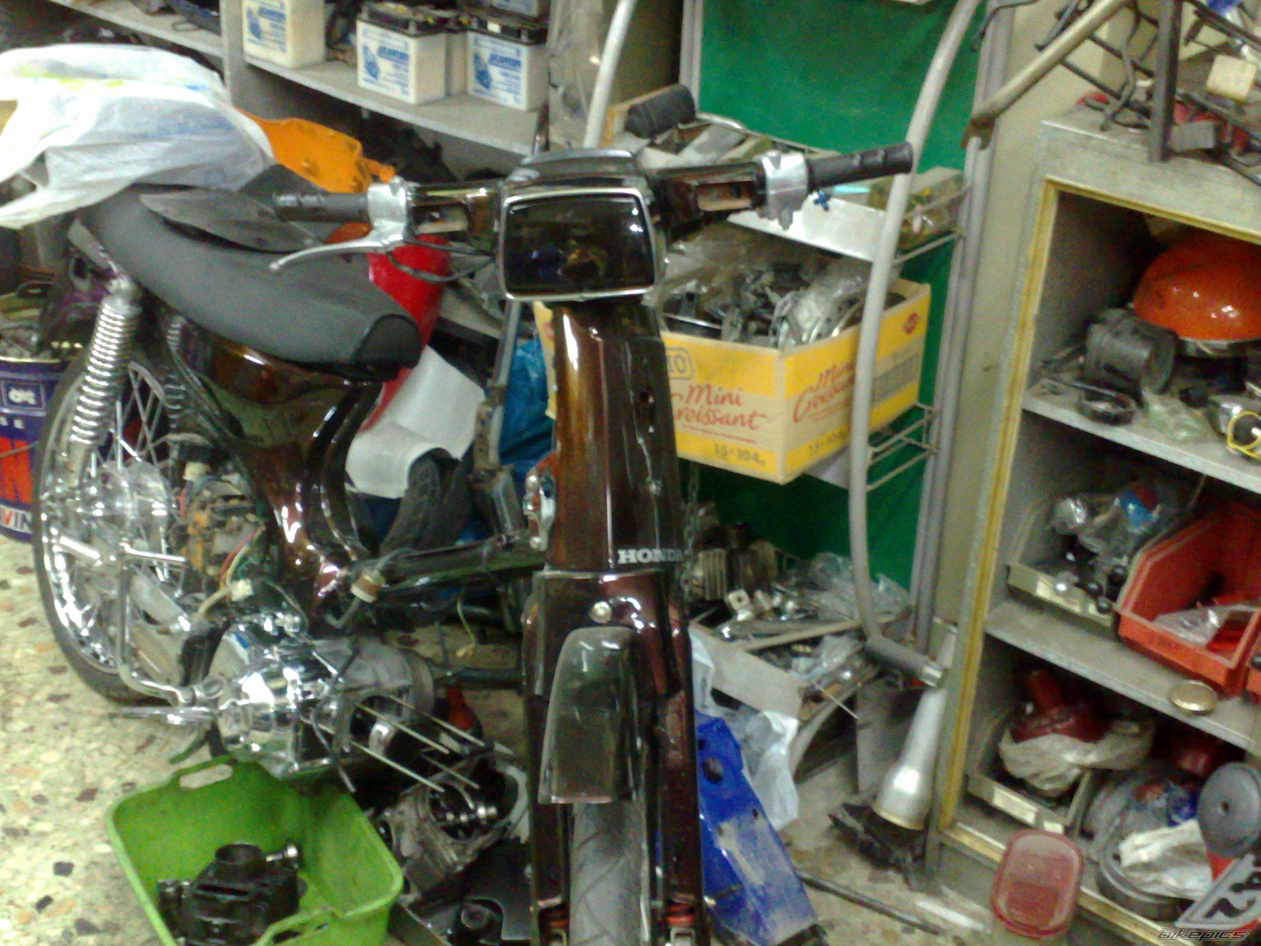 Photo 1583766