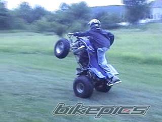 Photo 158389