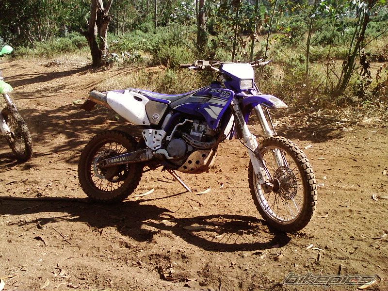 Photo 1584005