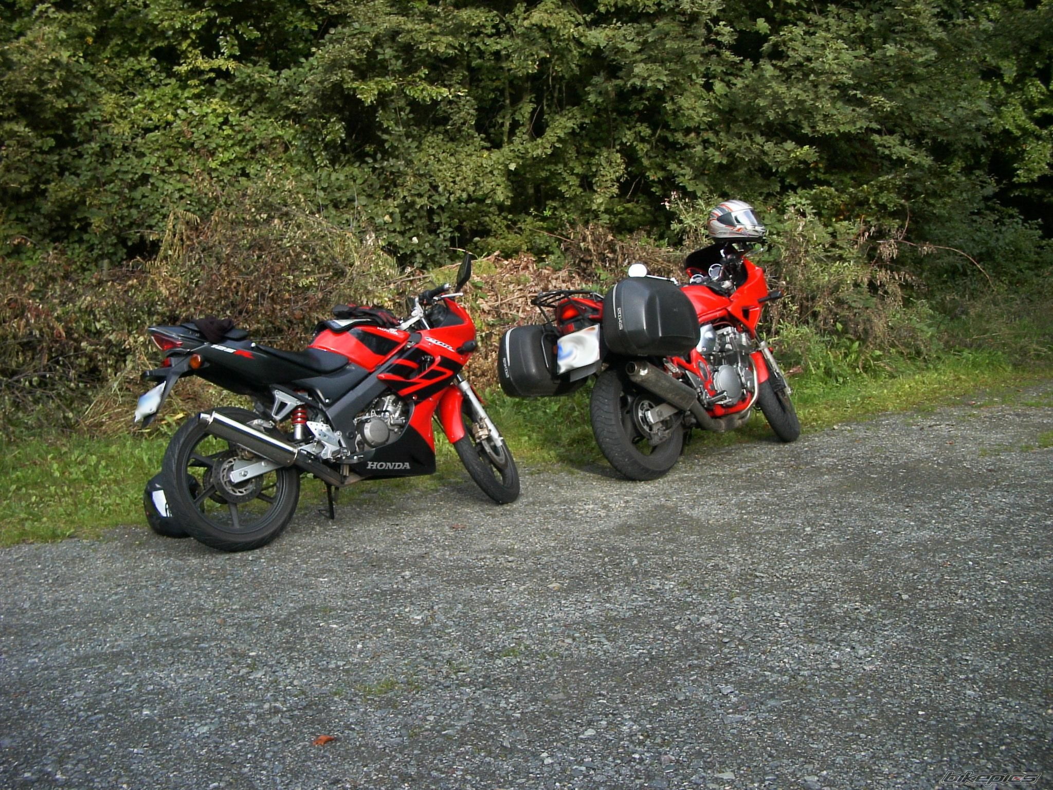 Photo 1584168