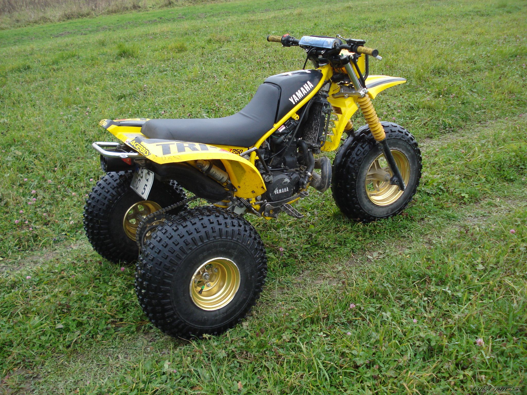 Photo 1584208