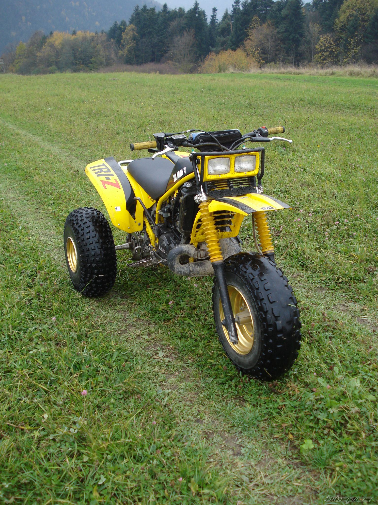 Photo 1584209