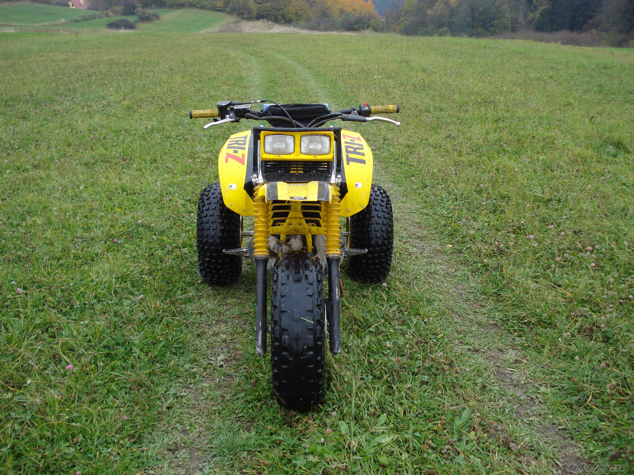 Photo 1584210