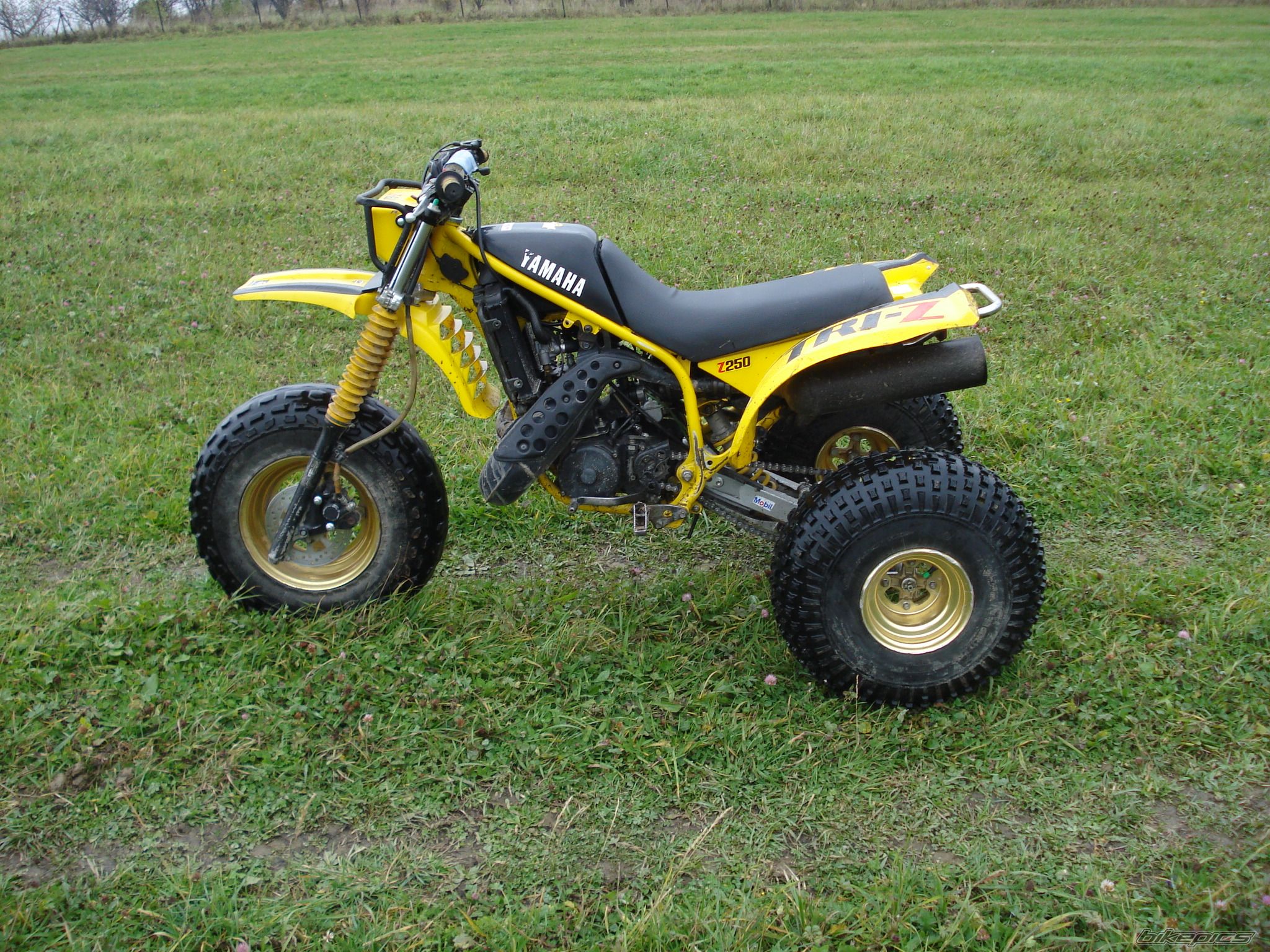 Photo 1584213