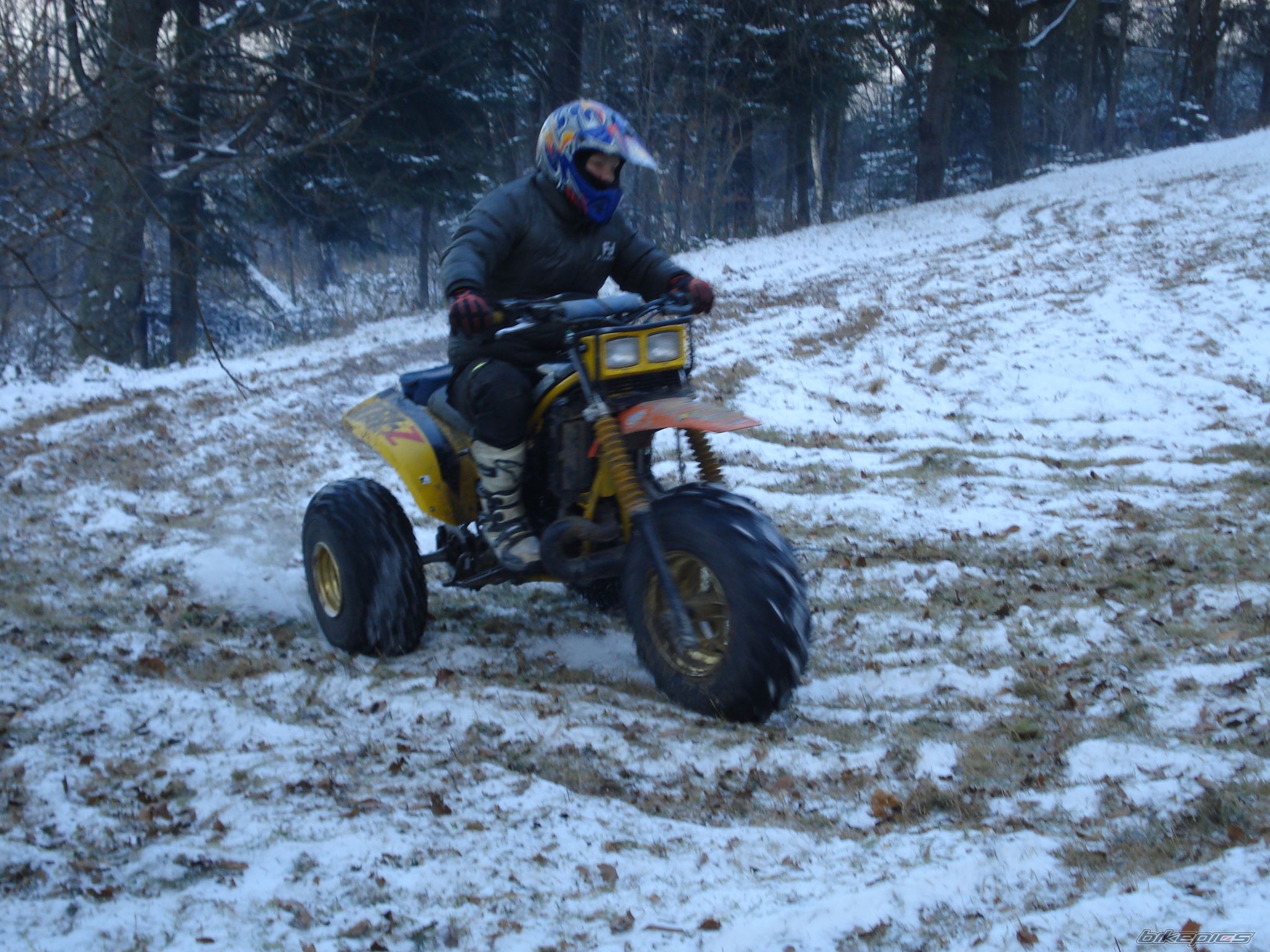 Photo 1584221