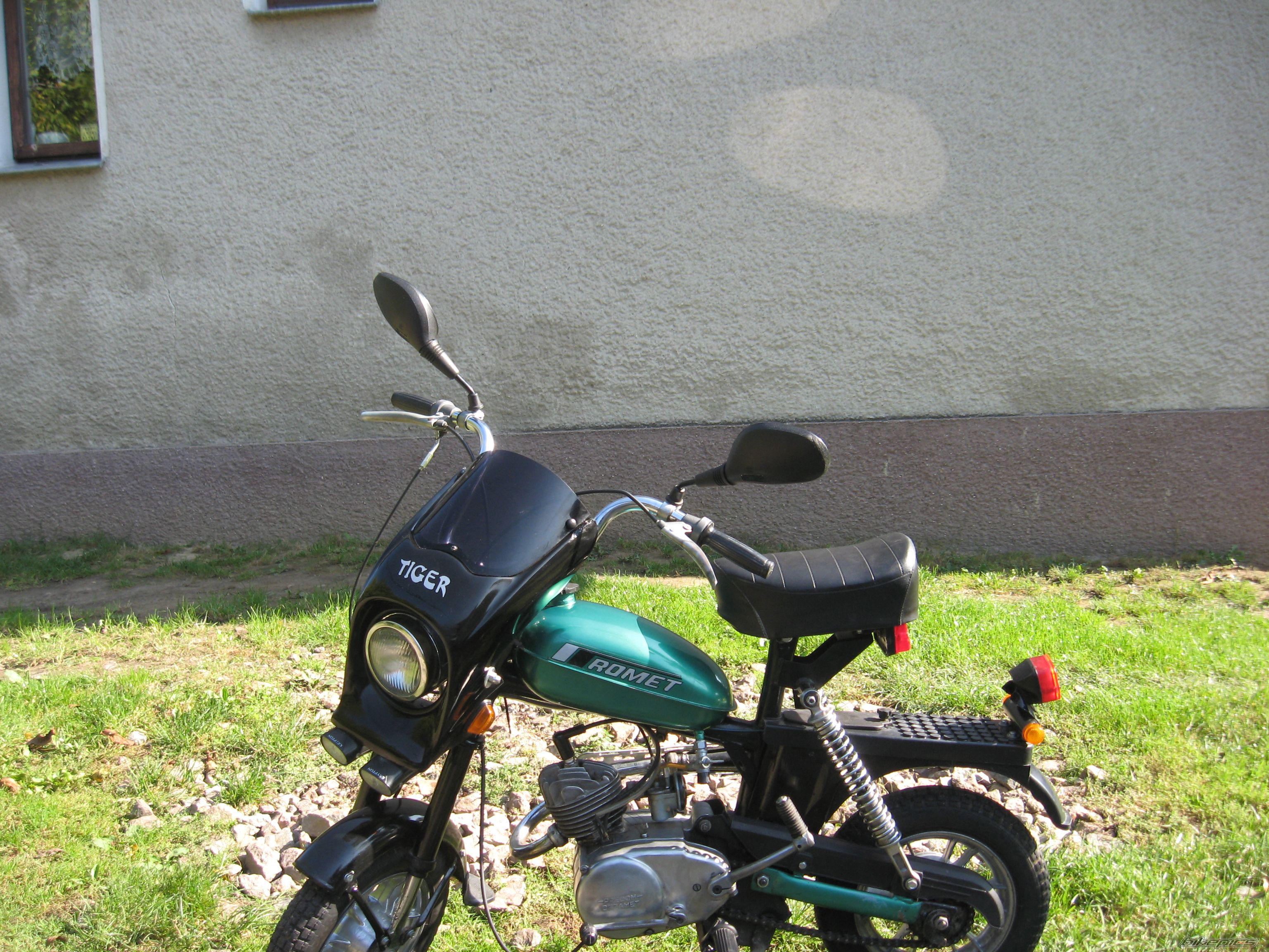 Photo 1584355