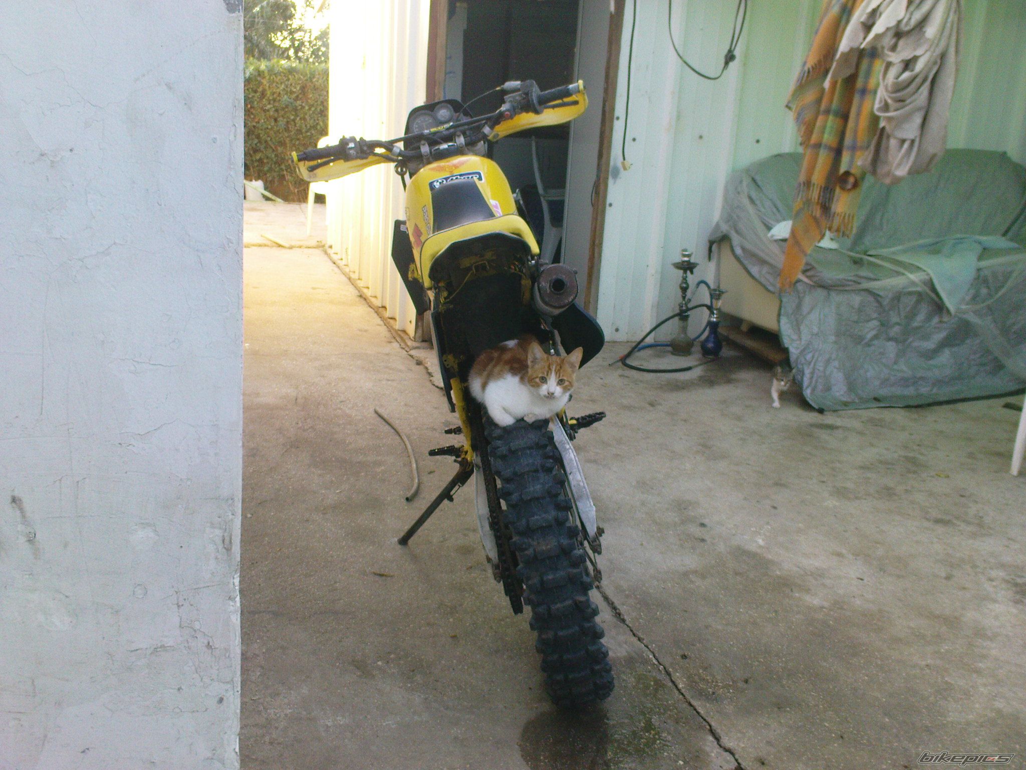 Photo 1584461