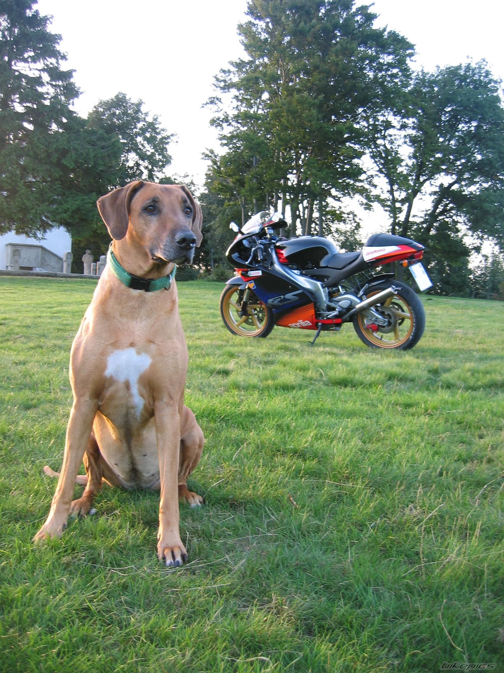 Bike Photo 1584464