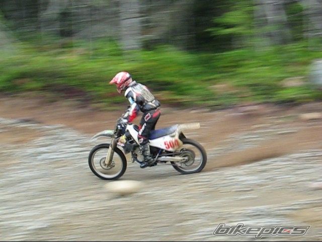 Photo 1584565
