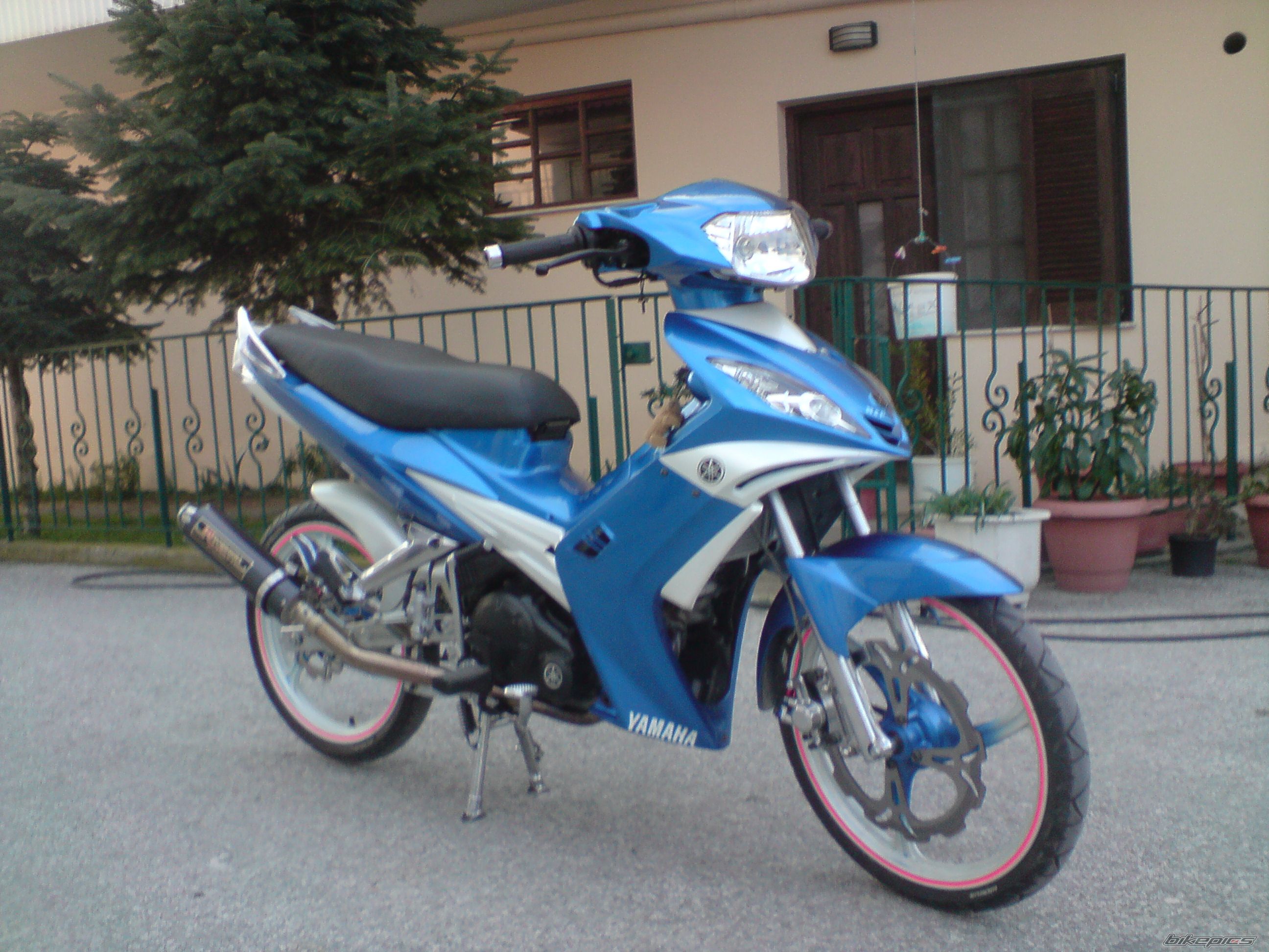 Photo 1584668