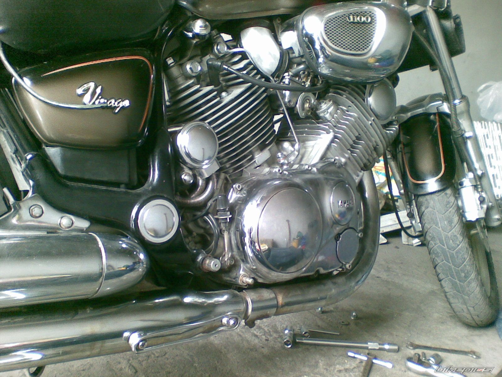 Photo 1584766