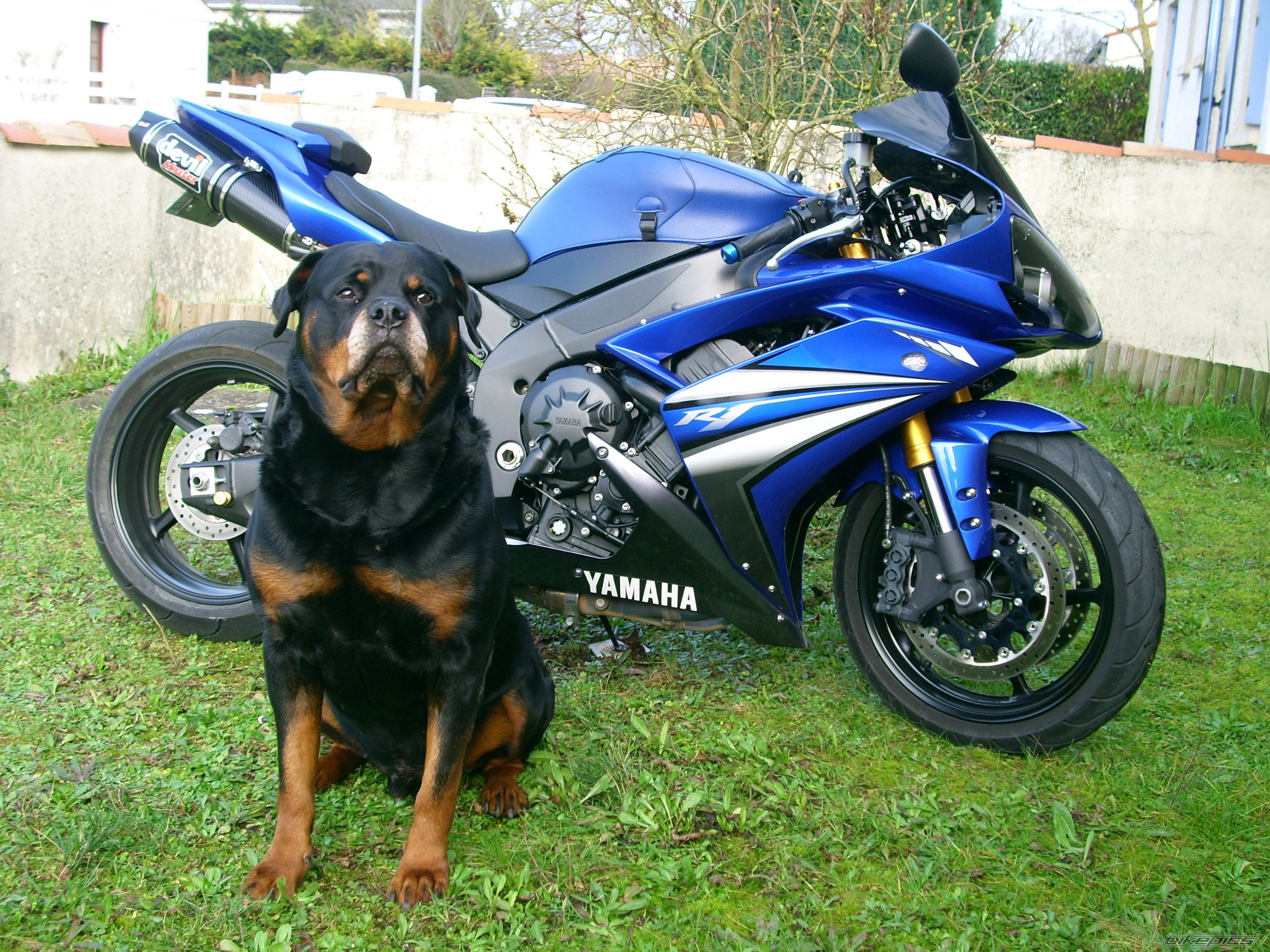 Bike Photo 1585002