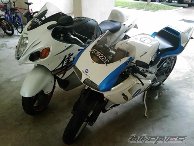 Photo 1585069