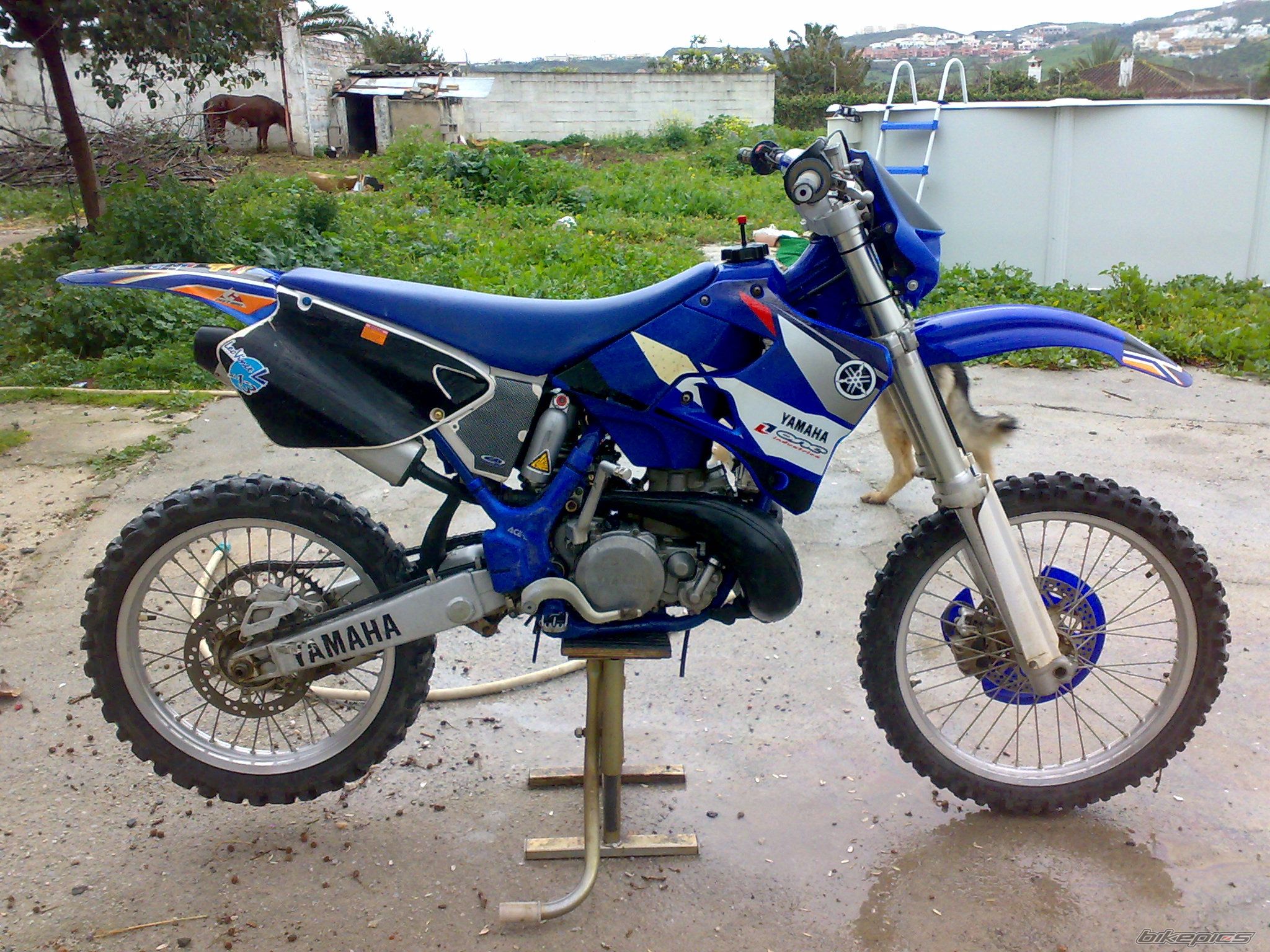 Photo 1585092