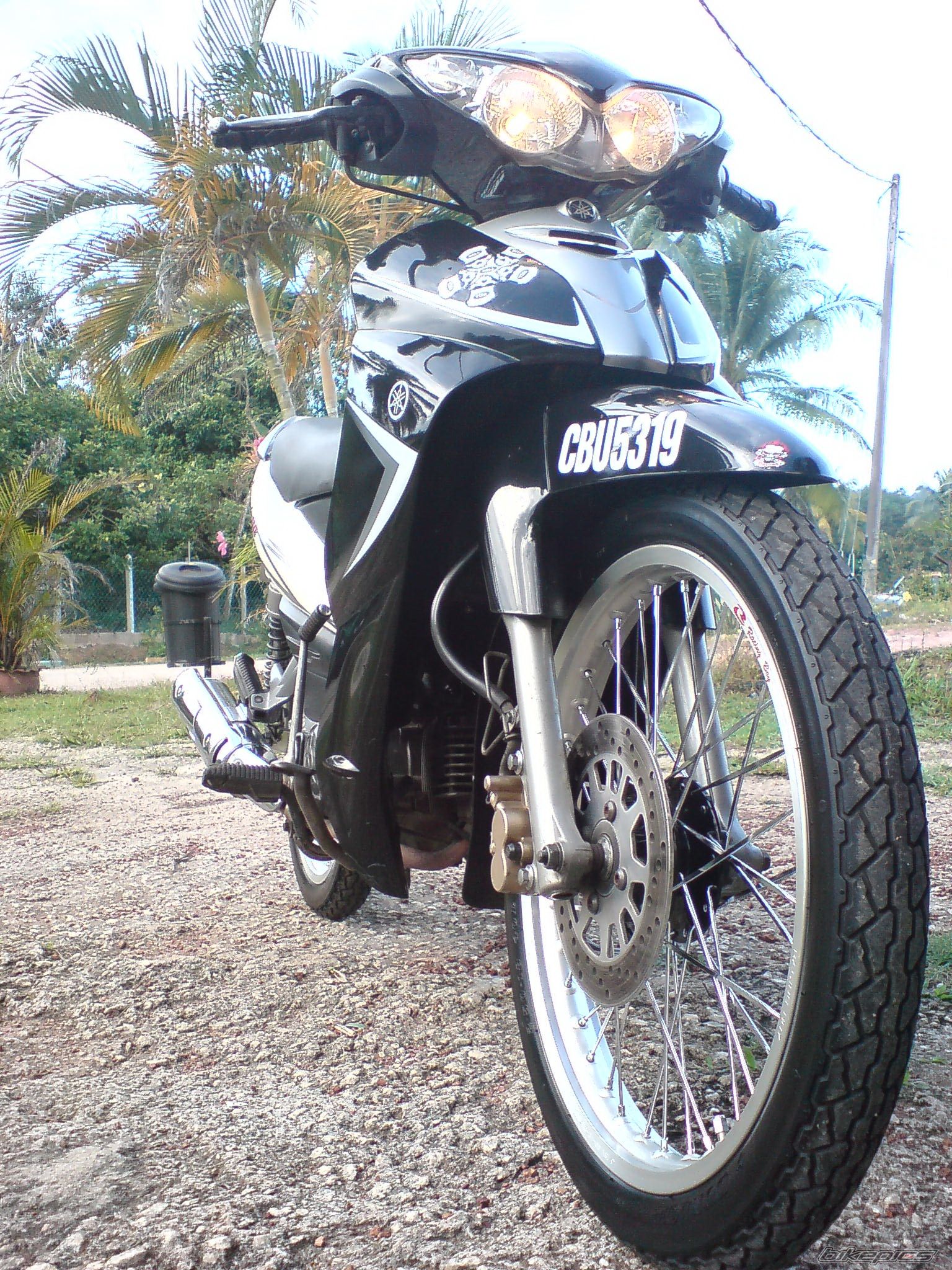 Photo 1585164