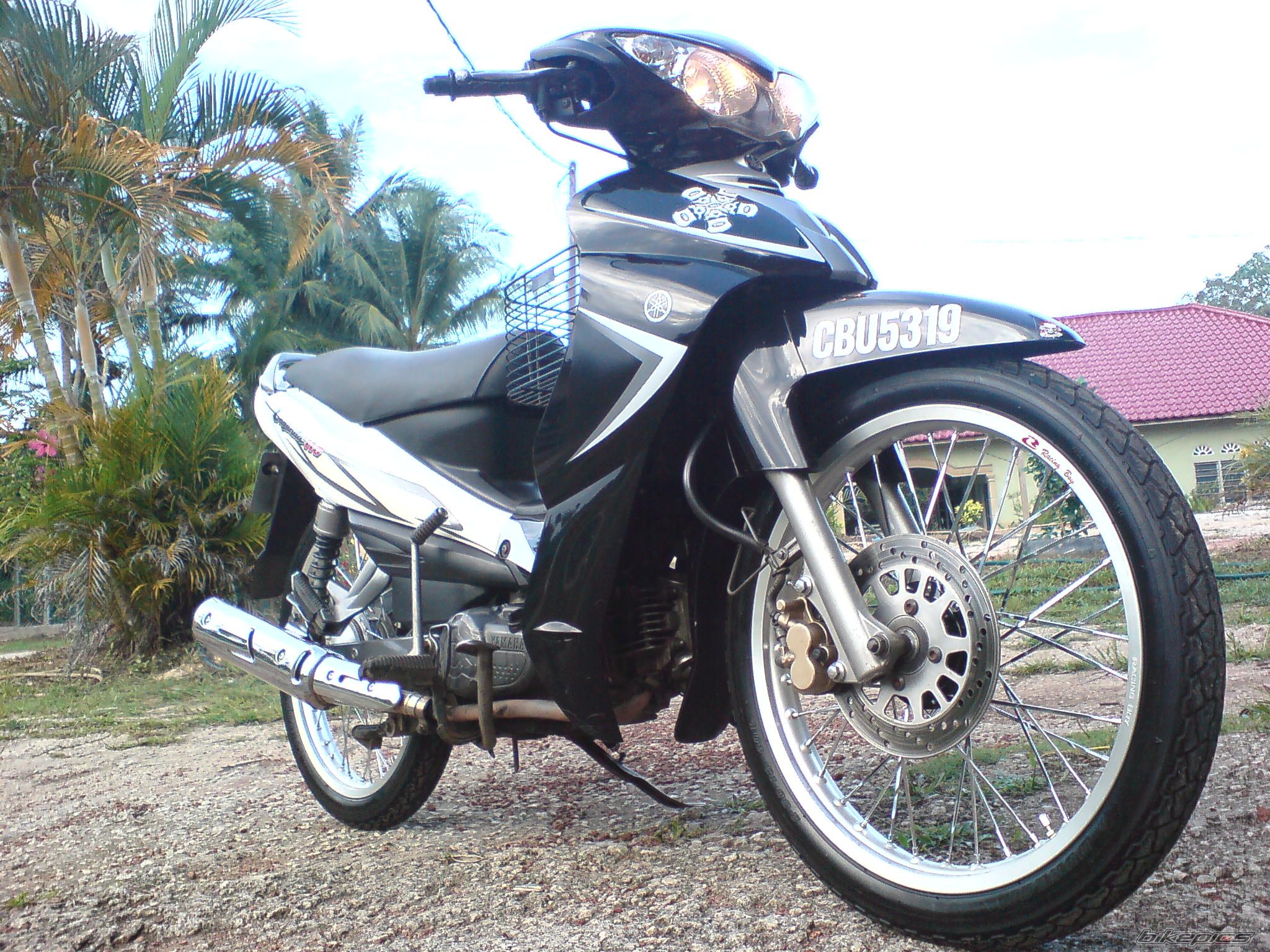 Photo 1585173