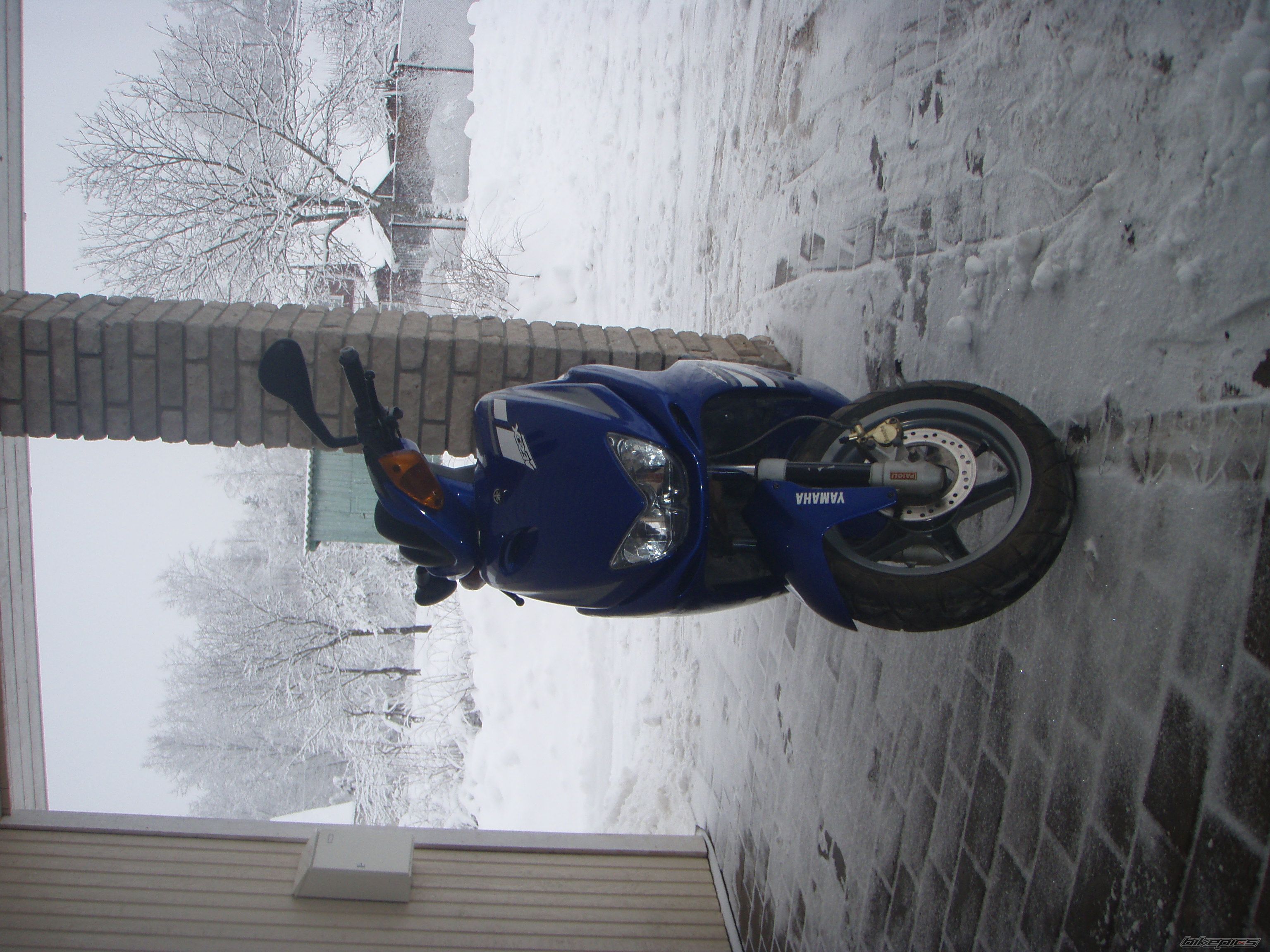 Photo 1585235