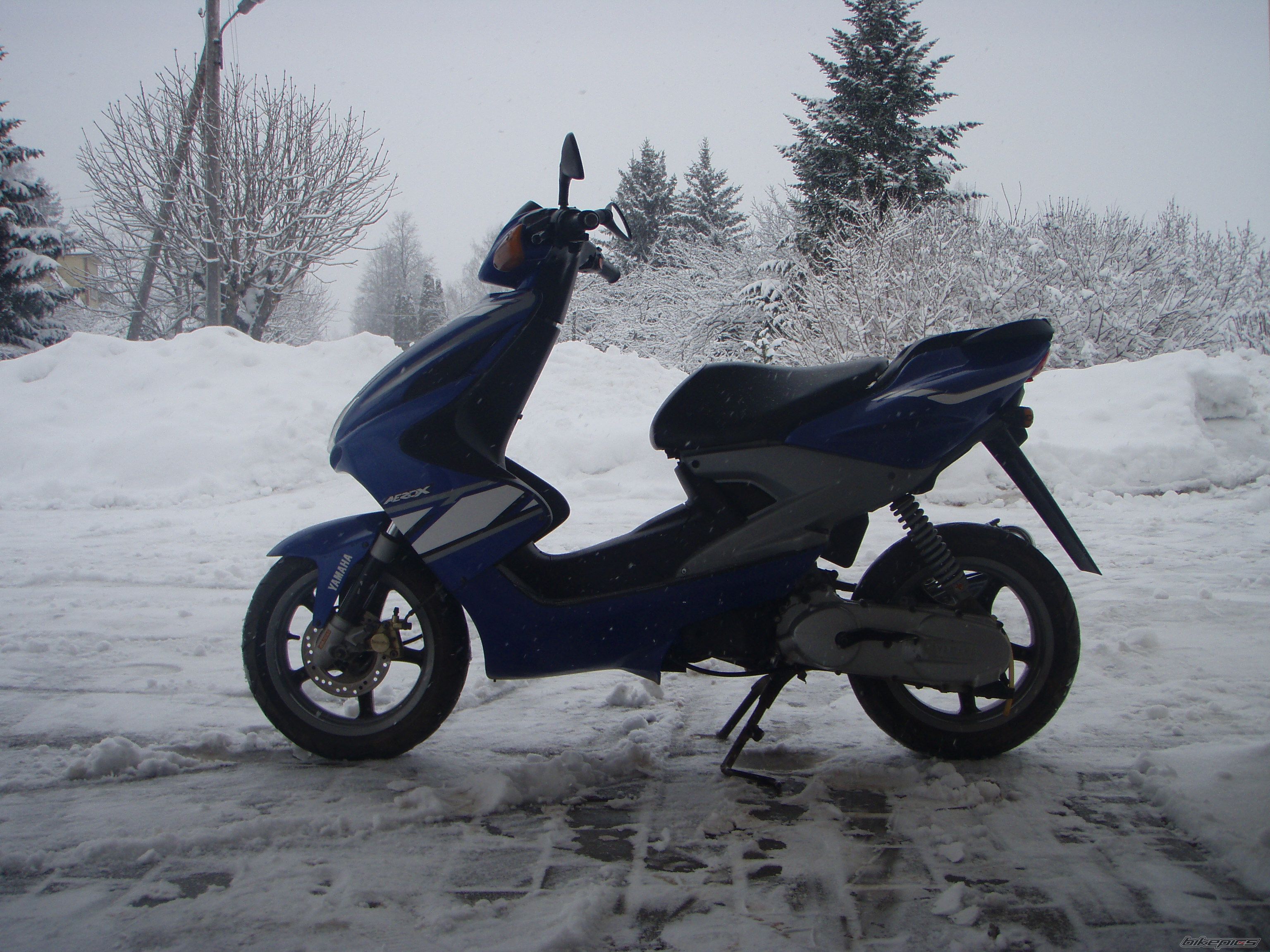 Photo 1585237