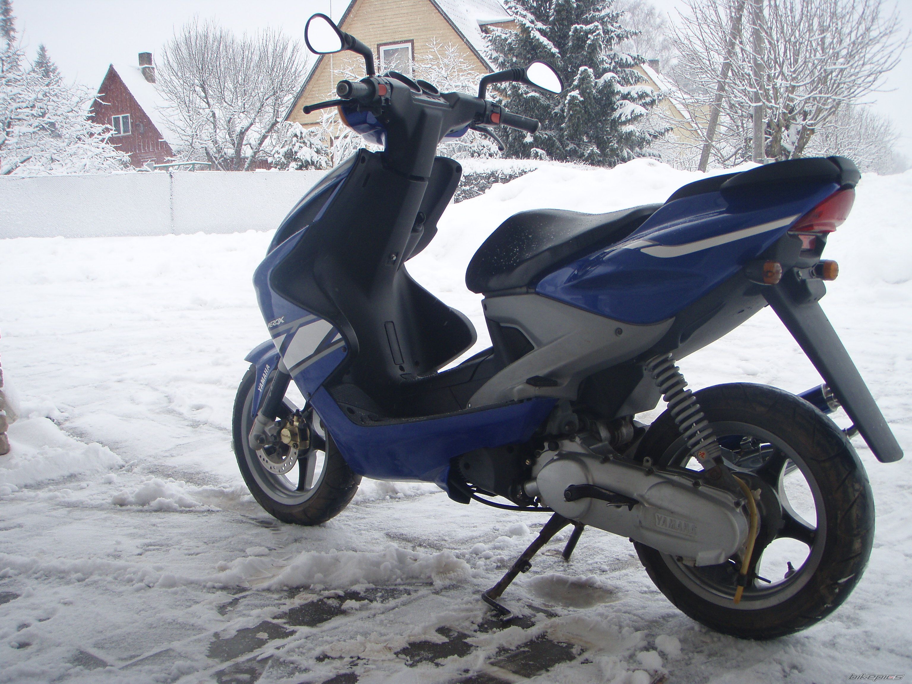 Photo 1585239