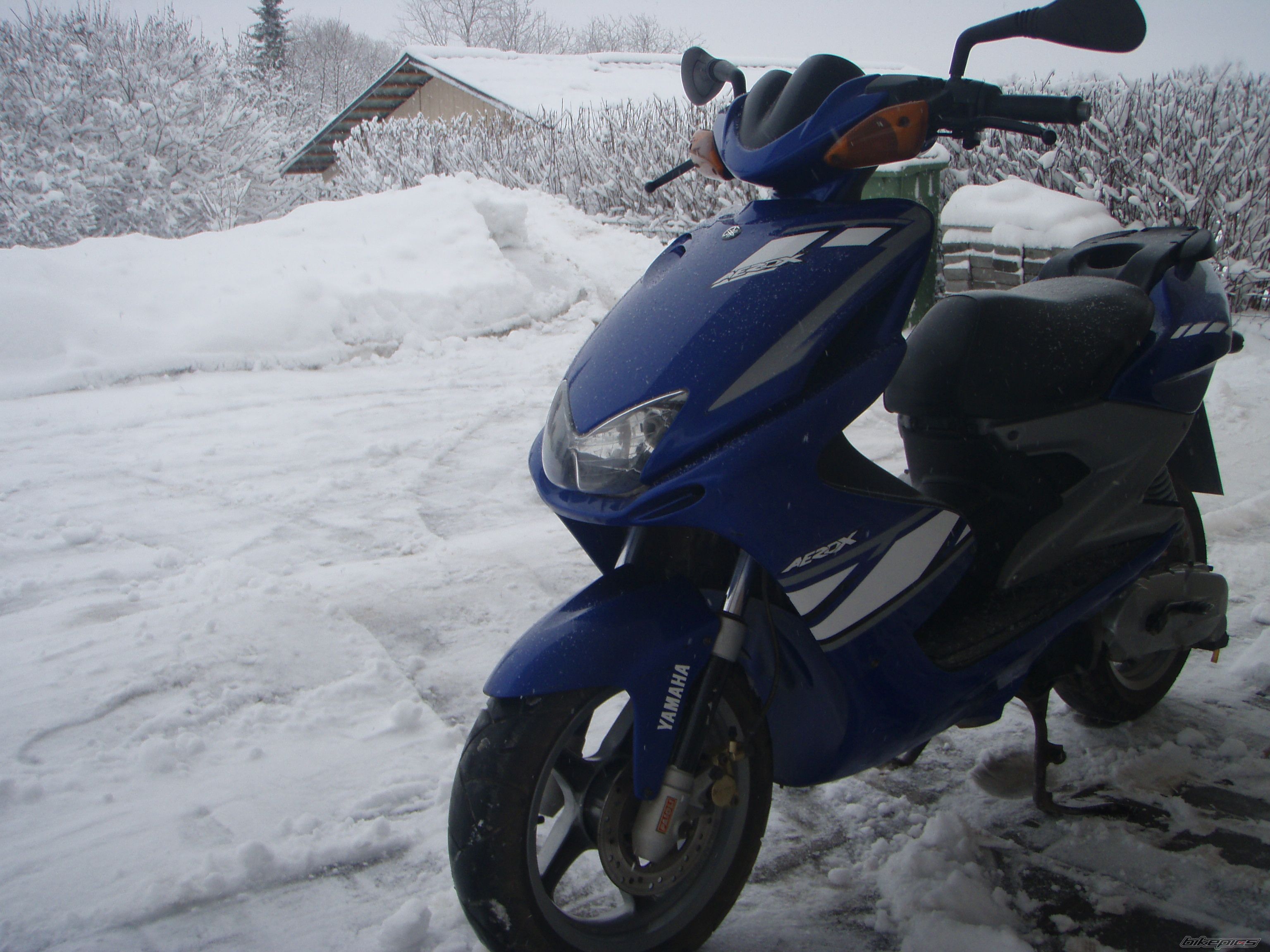 Photo 1585241
