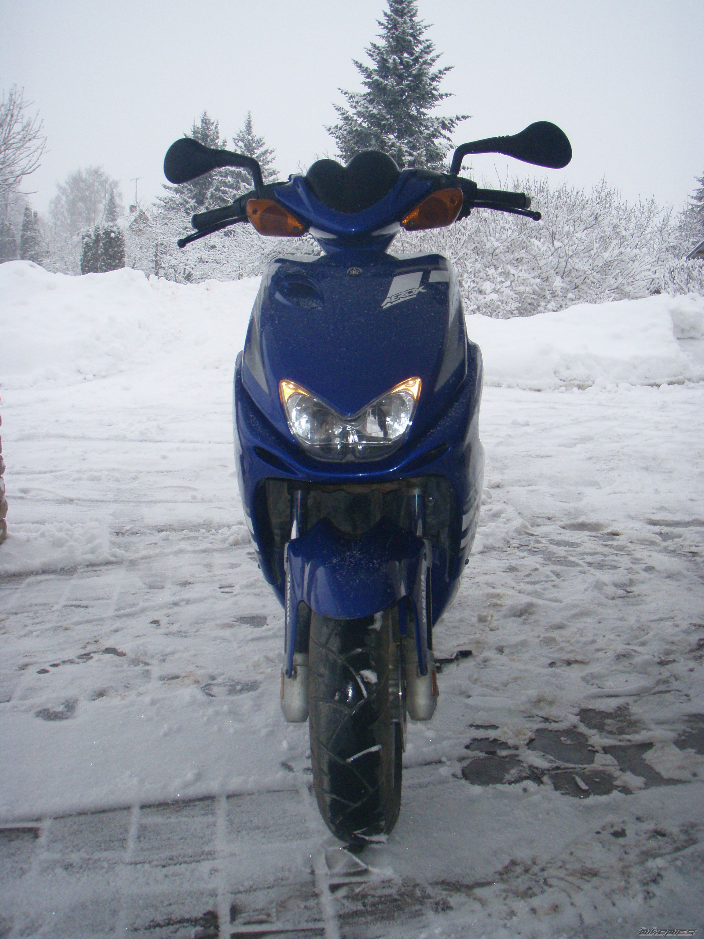 Photo 1585250