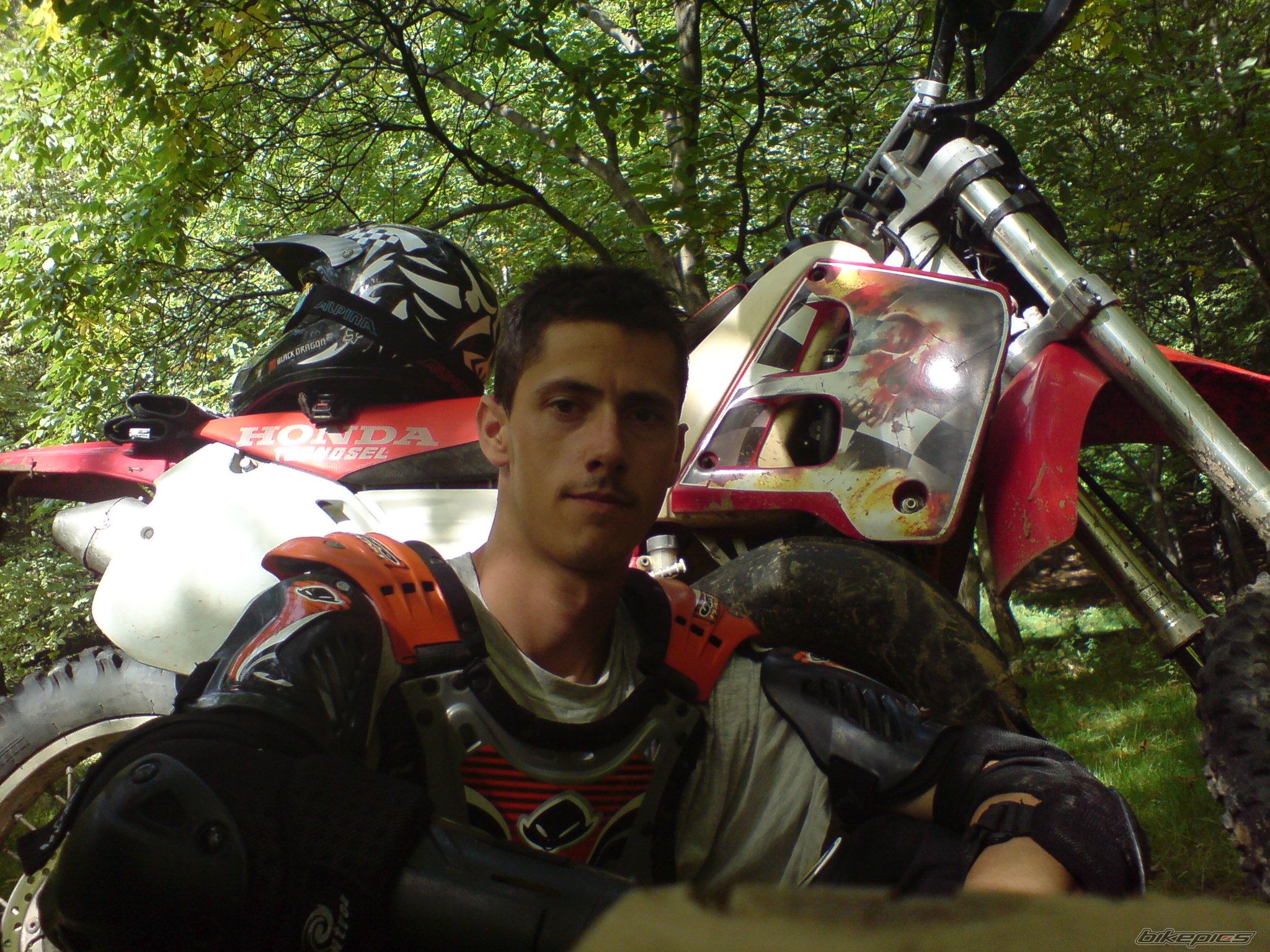Photo 1585282