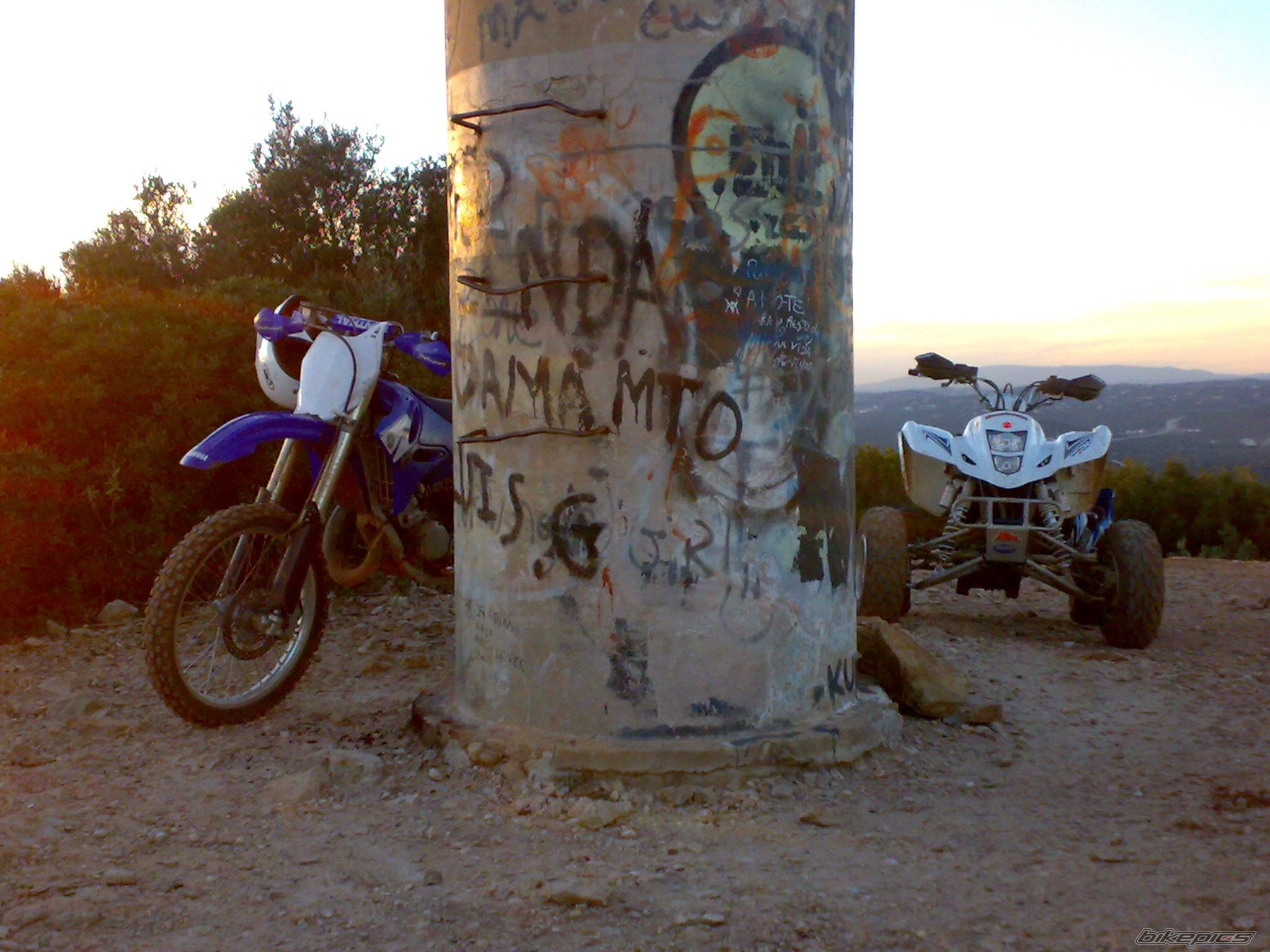 Photo 1585315