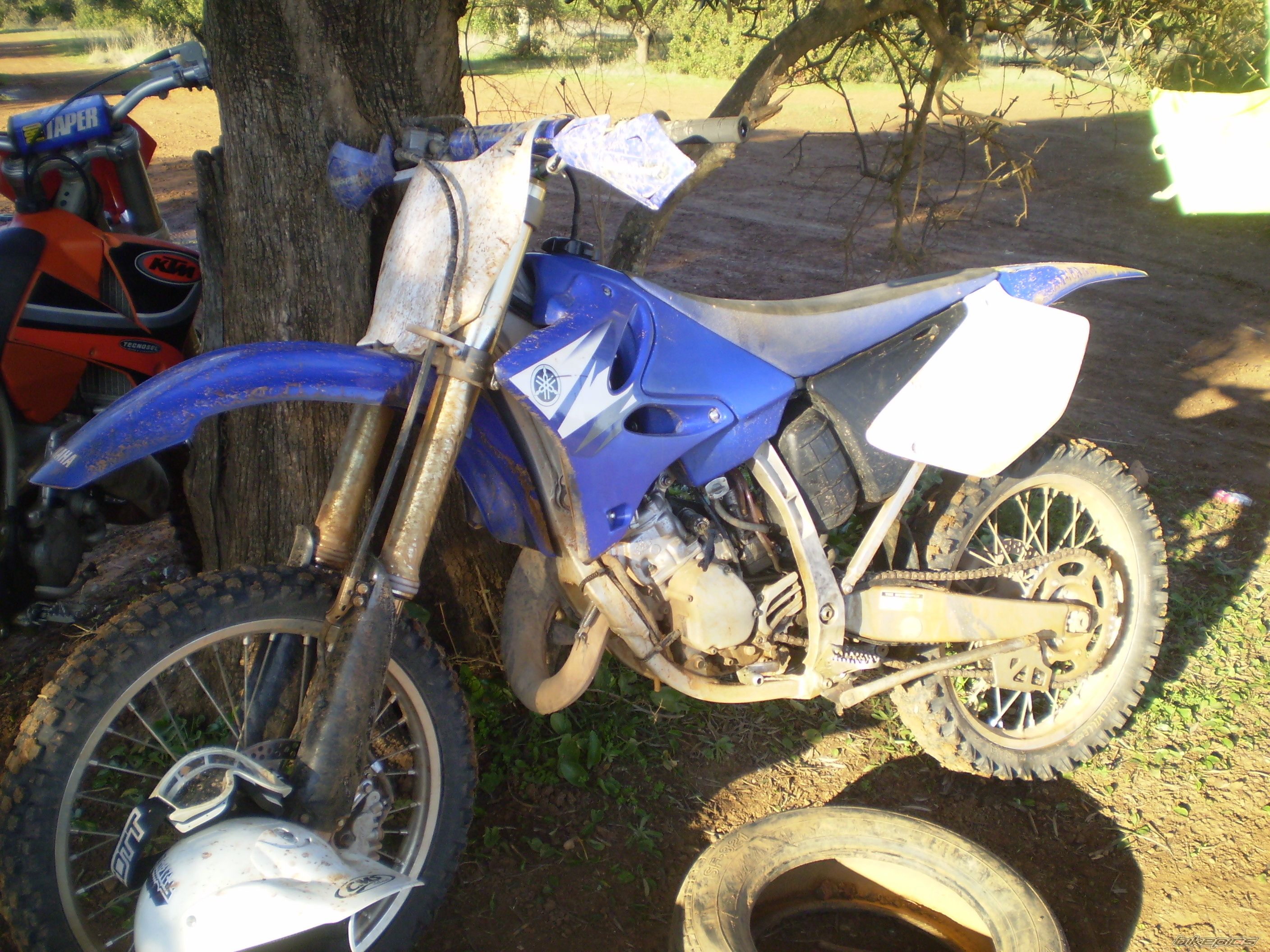 Photo 1585320
