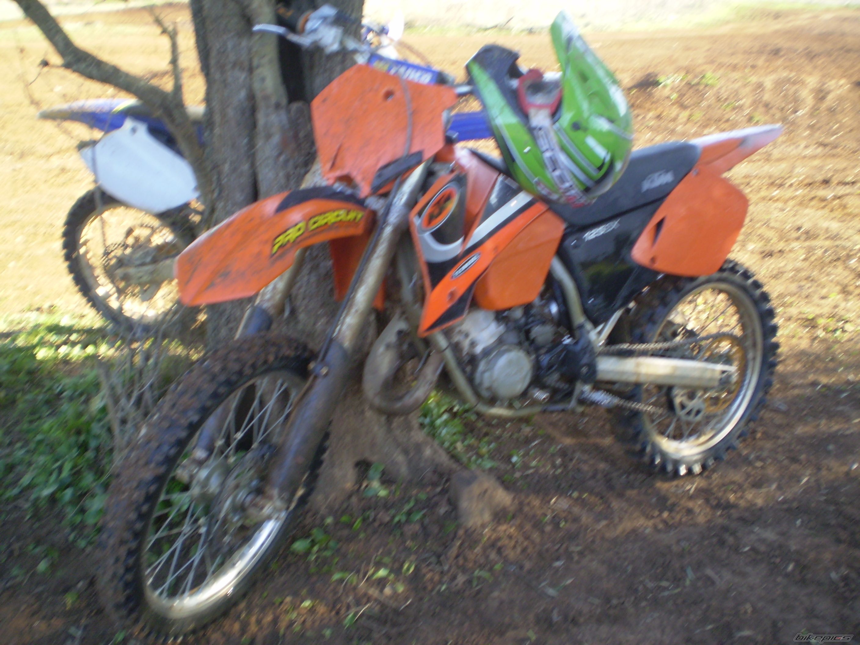 Photo 1585329
