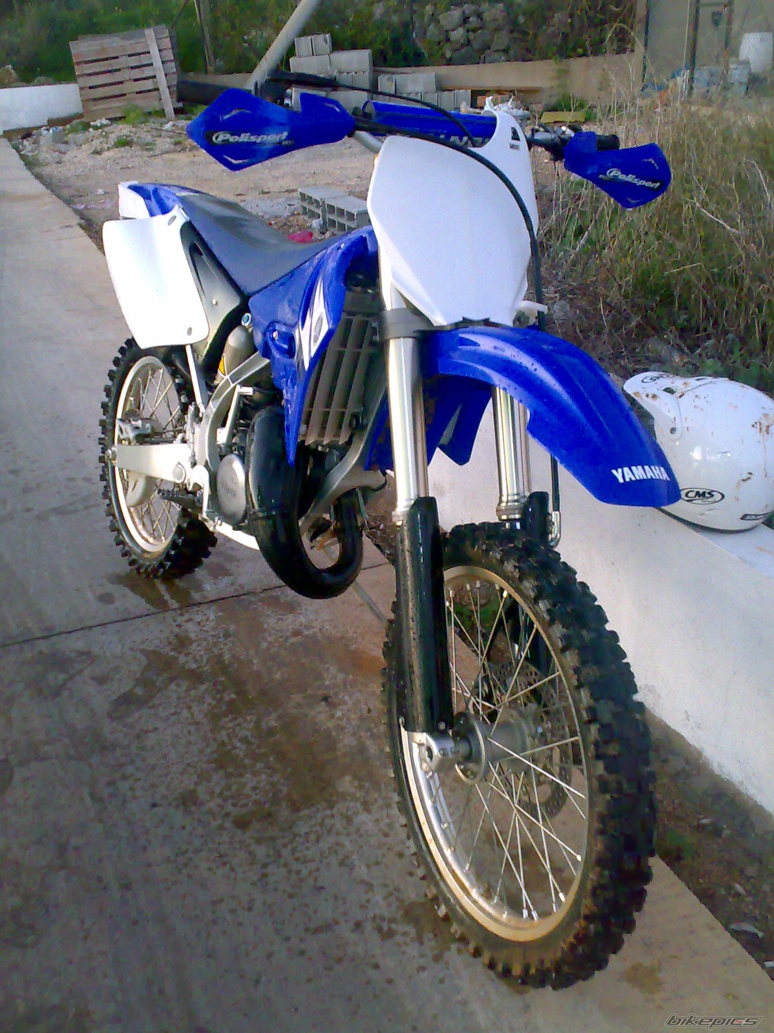 Photo 1585338