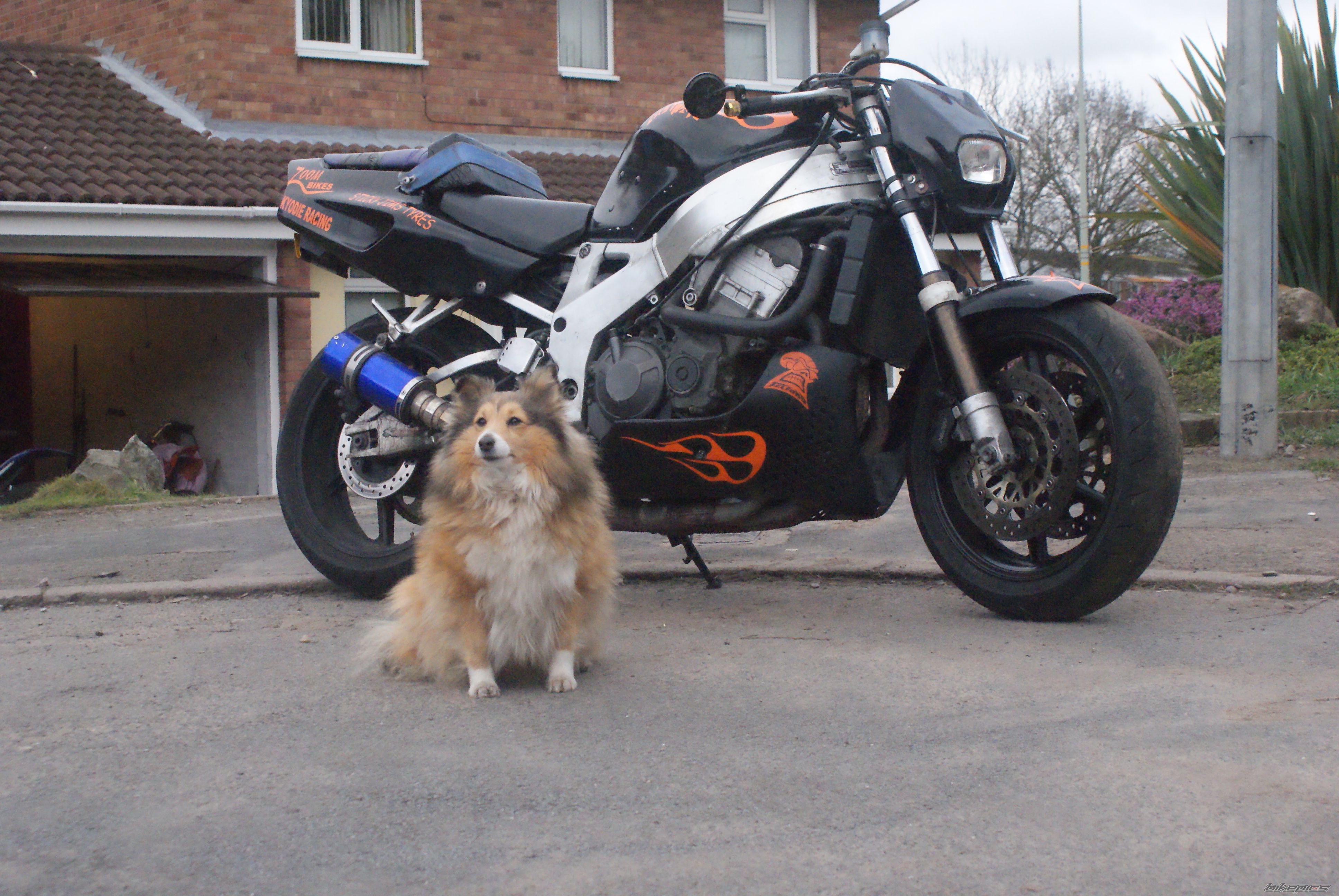 Bike Photo 1585360