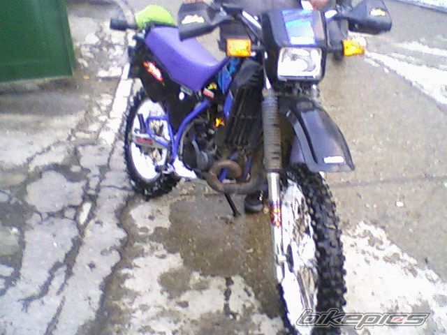 Photo 1585396