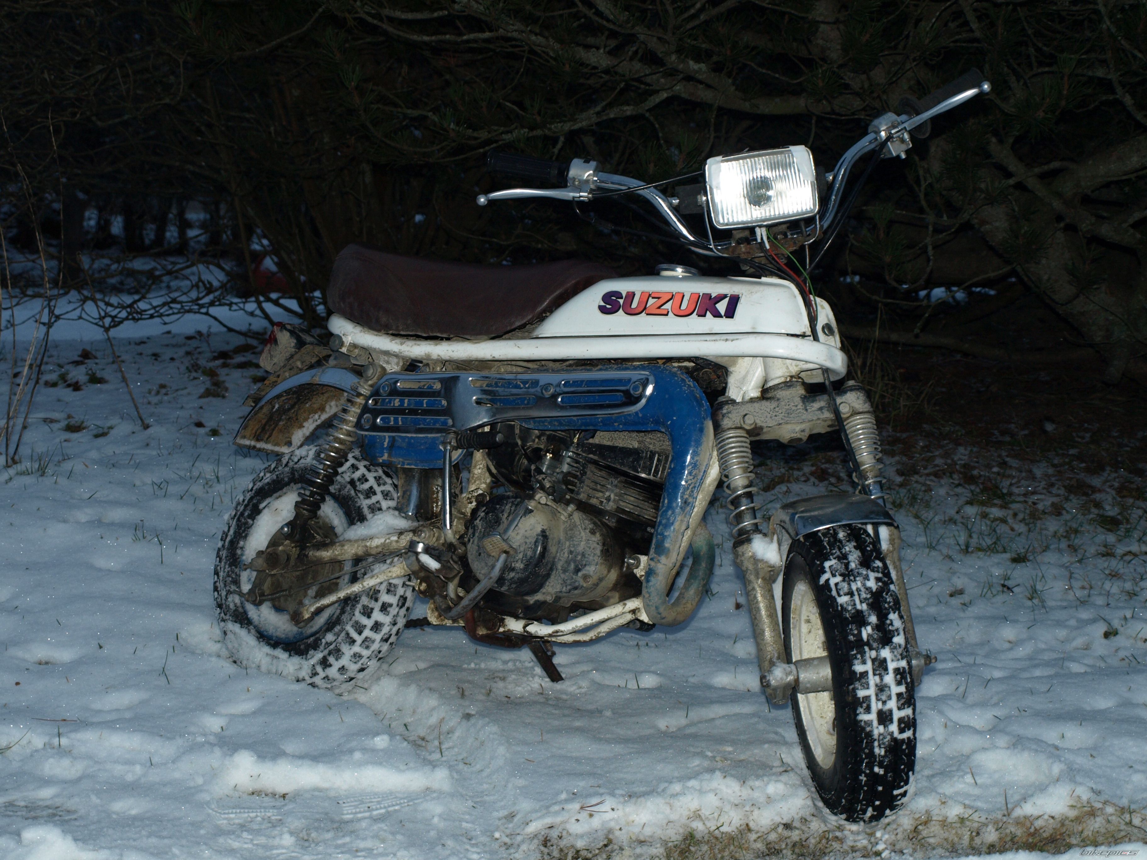 Photo 1585421