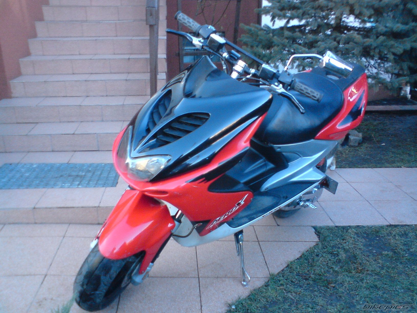 Photo 1585441