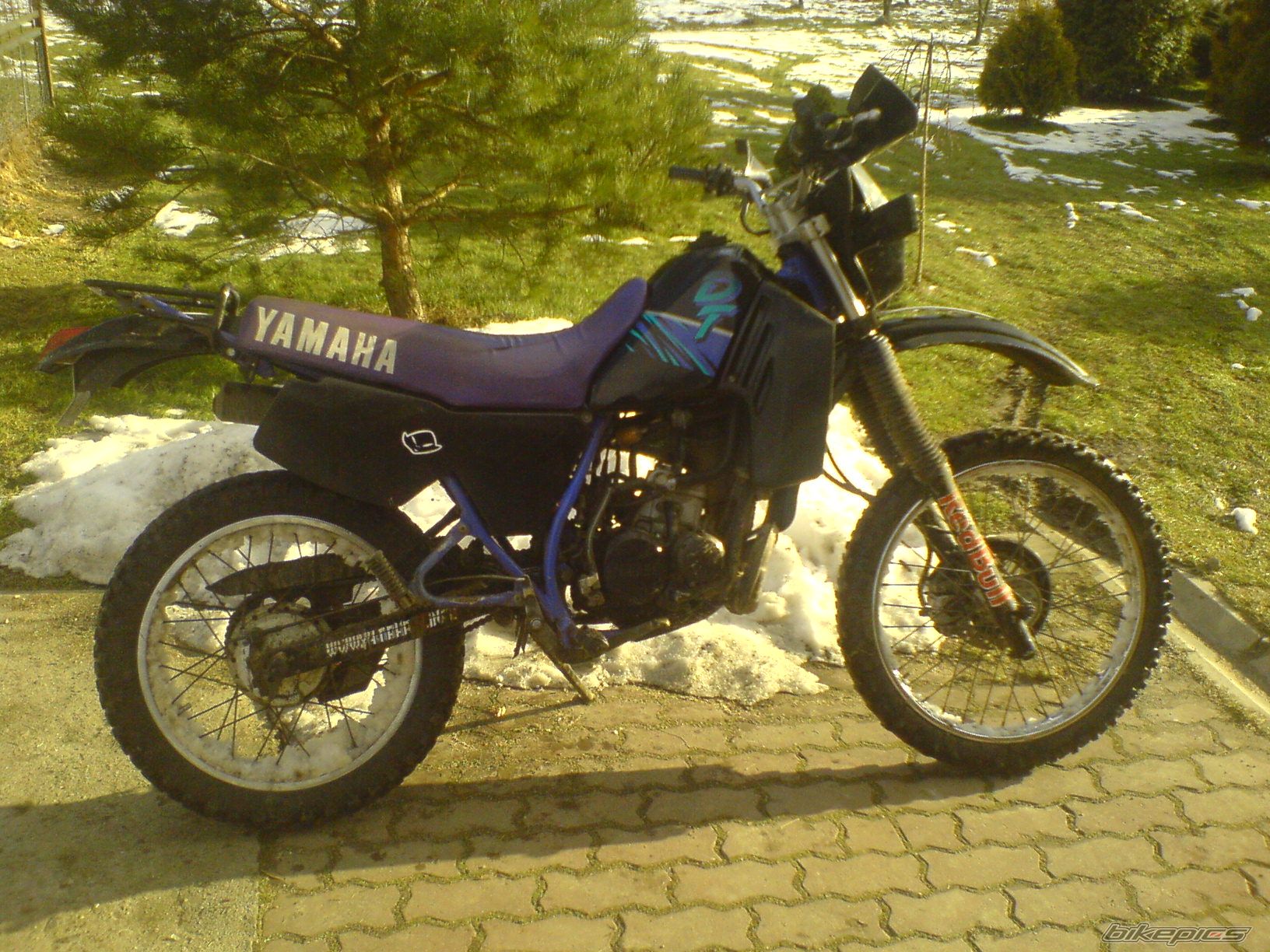 Photo 1585450