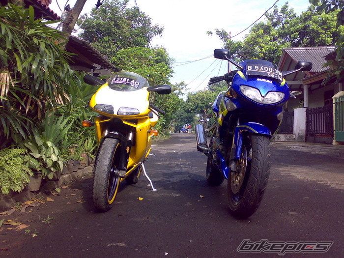 Photo 1585467