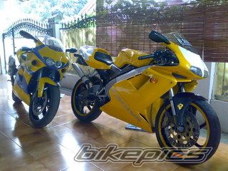 Photo 1585490
