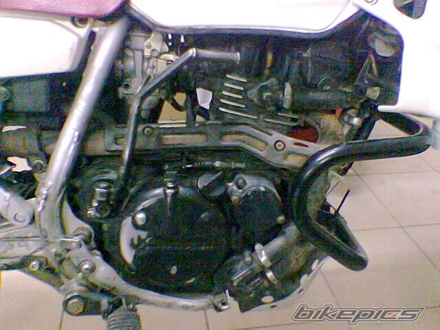 Bike Photo 1585511