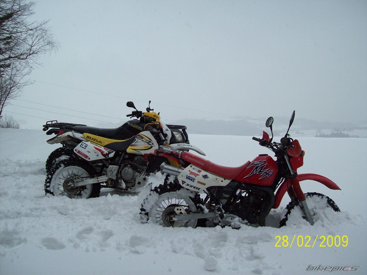 Photo 1585532