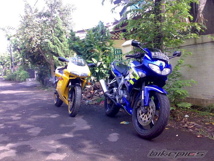 Photo 1585536