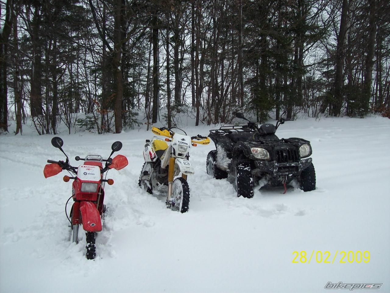 Photo 1585537